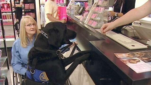 Tadaki even helps Kelly Bussio pay for her purchases when they go shopping