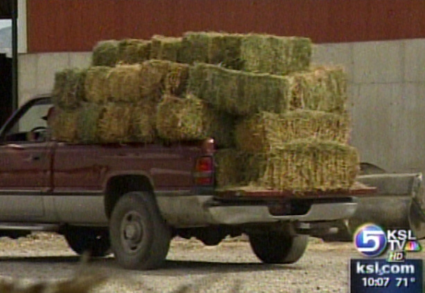Cache Valley Farmers Donating Hay to Fire Victims