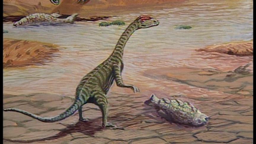 New Evidence Suggests Dinosaurs Went Fishing