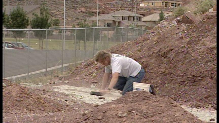 New Evidence Suggests Dinosaurs Went Fishing