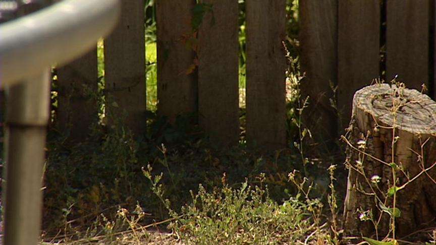 Man Could Face Charges after Shooting Neighbor's Dog