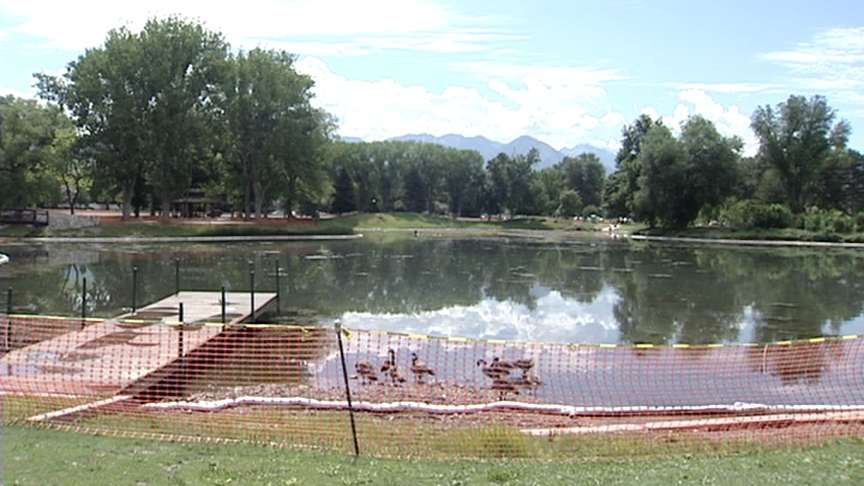 Business losing money because of Chevron oil spill