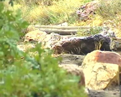 Rescue Crews Help Woman Off Mt. Olympus