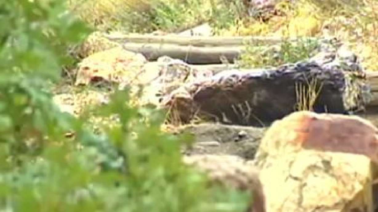 Rescue Crews Help Woman Off Mt. Olympus