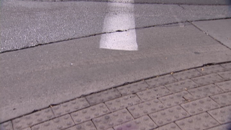 The bumps on the curb cuts help the blind and visually impaired know they are entering a crosswalk