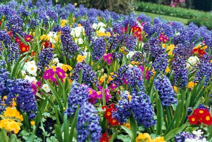 Spectacular Spring Flower Bed Design Classes
