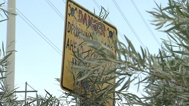 Signs along the river warn: "Danger: Drowning hazard ahead." But they are covered by brush.