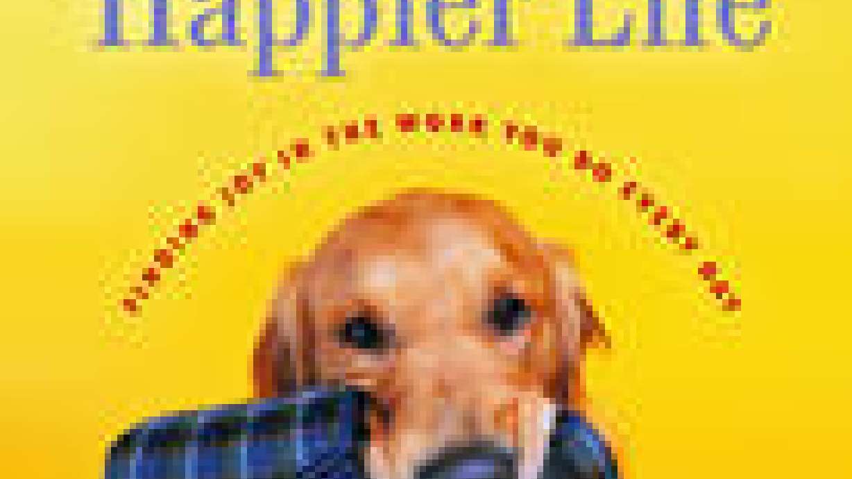 Amanda's Book Signings!