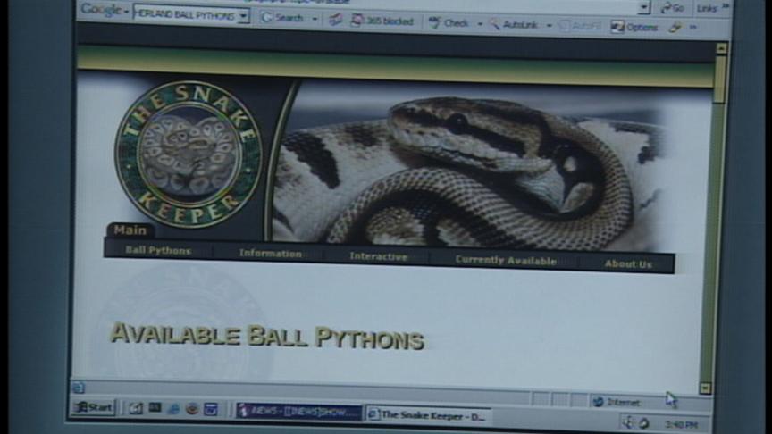 Neighbors Protest Planned Python-breeding Farm