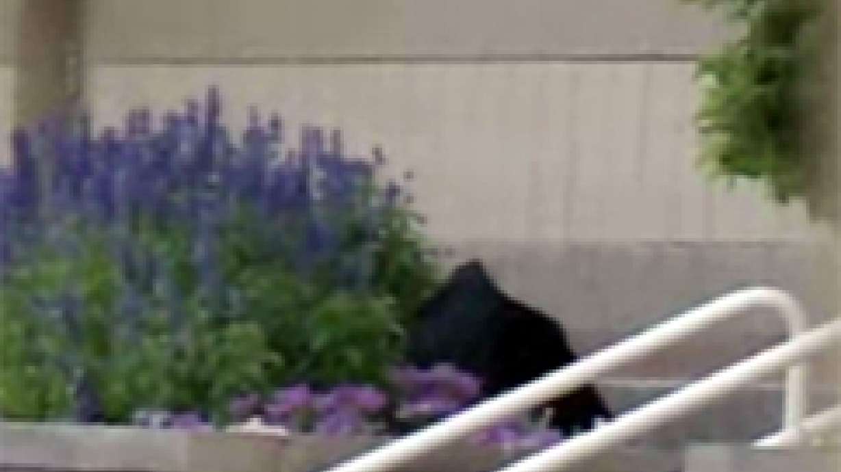 Suspicious Bag Forces Evacuation of Theaters