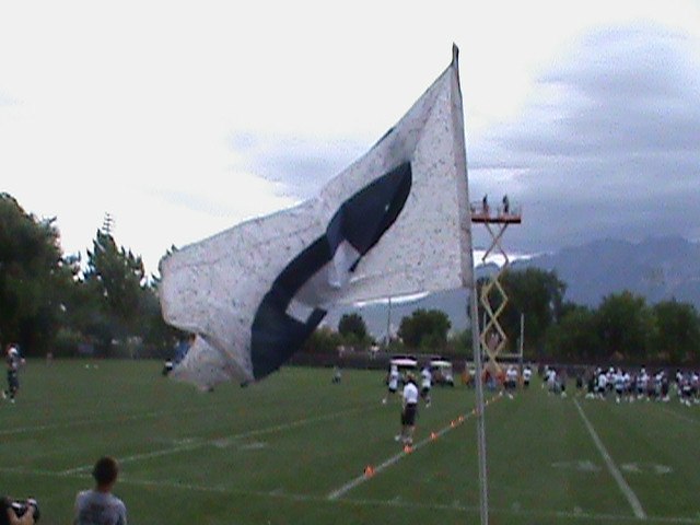 Cougar Tracks: Camp Cougar, Day 1