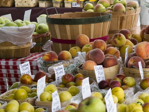 6 sugerencias para que este verano su hijo mejore en matemática