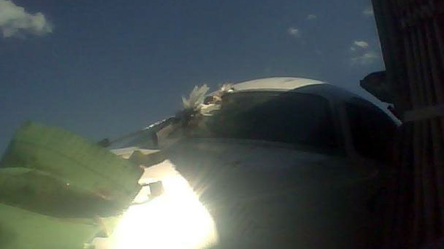 Bird strike damages airplane at Salt Lake International