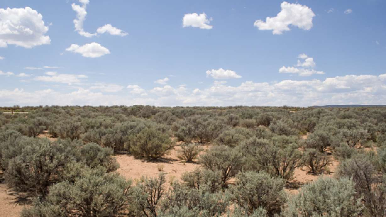 Officials tell pipeline company to drop compromise