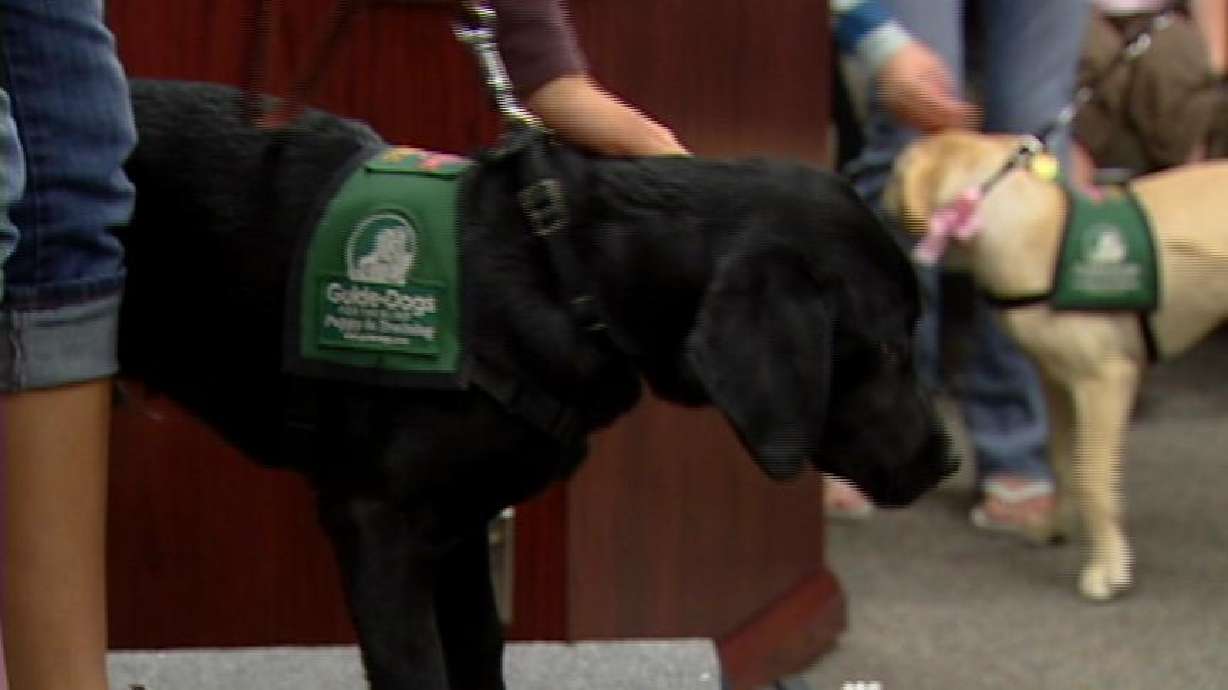 Utah Students Helping to Raise Guide Dogs