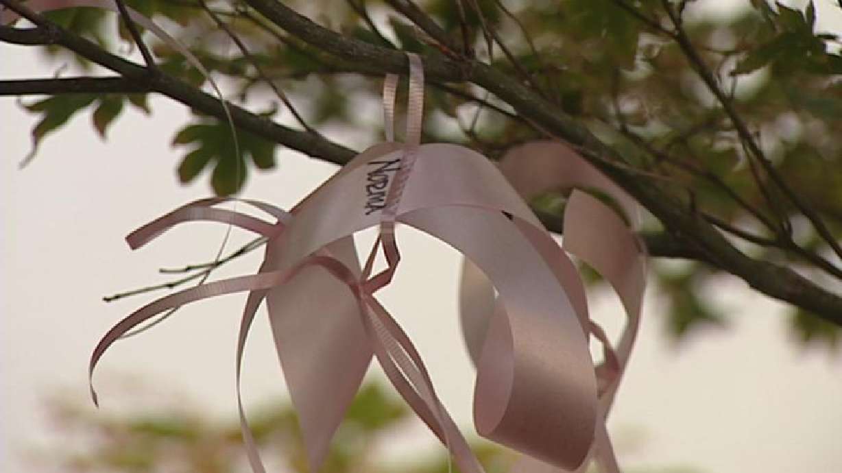 October is Breast Cancer Awareness Month