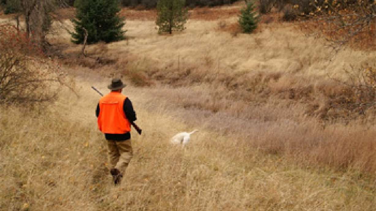 Mild weather means quiet opener for deer season