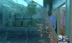 Research Volunteers Breathe Special Mix of Pollution