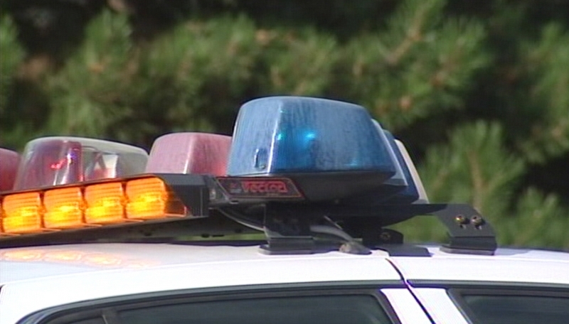 Traffic stop leads to discovery of 100-plus pounds of marijuana