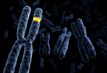 Exercise and Your DNA 