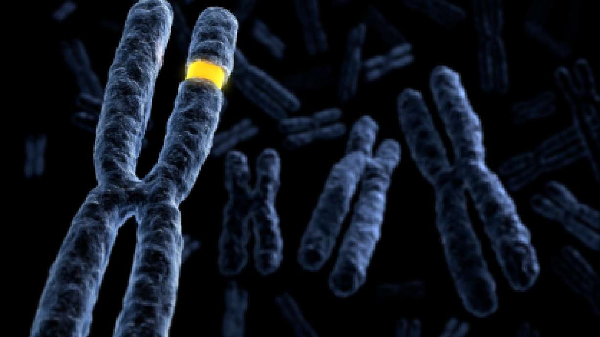 Exercise and Your DNA