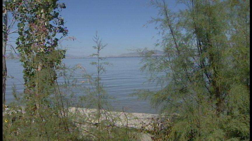 State Advises Limiting Utah Lake Catfish Consumption