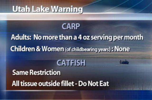 State Advises Limiting Utah Lake Catfish Consumption