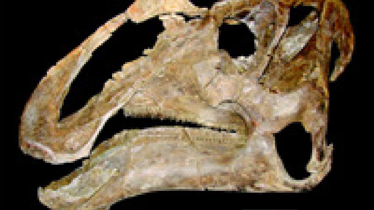 Scientists Unveil New Utah Dinosaur