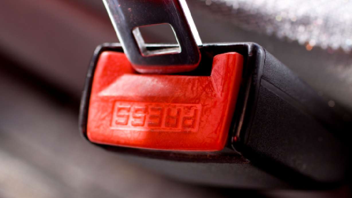 Buckle Up When Pregnant