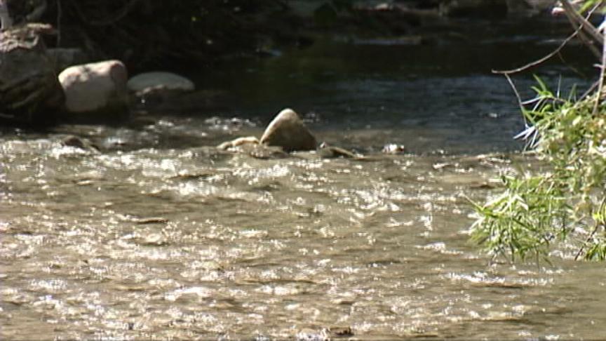 Native Trout Return to a Salt Lake County Creek