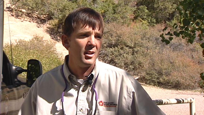 Native Trout Return to a Salt Lake County Creek