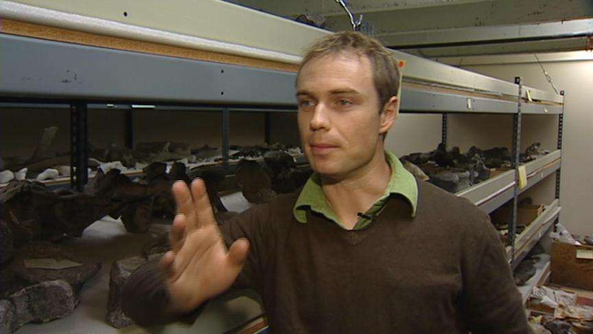 Scientists Unveil New Utah Dinosaur