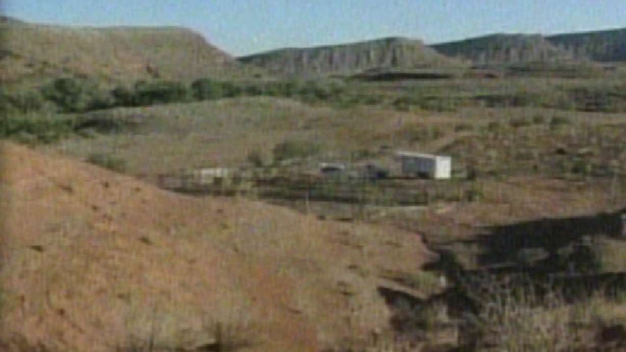 Horse Found Shot Nearly 50 Times