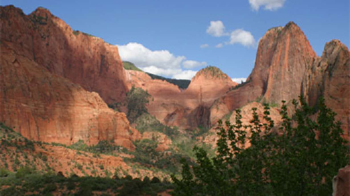 Woman rescued after fall in Zion National Park