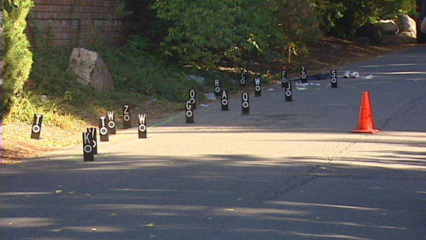 Husband of Woman Killed in a Hit-and-Run Speaks