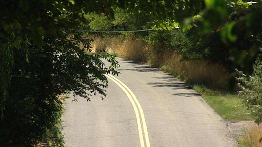 Nadine Dixon is concerned about her children walking along Center Street in Lehi because it is windy and there are no sidewalks.
