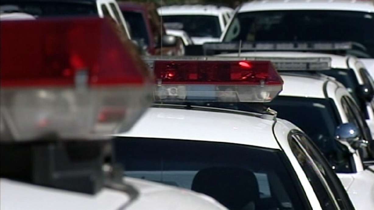 Pleasant View police chief fired after tense meeting