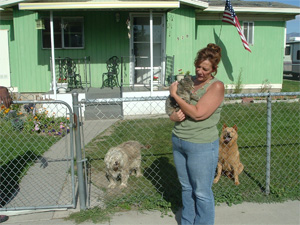 Humane Society Calls for Investigation after Cat Release