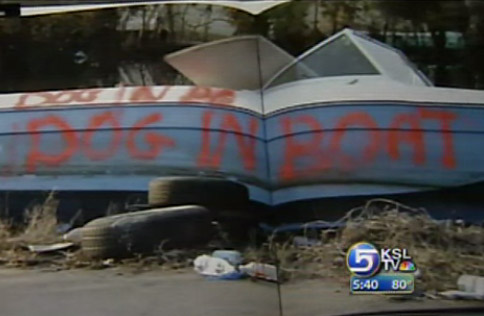 Book Documents Rescue of Animals Stranded by Katrina