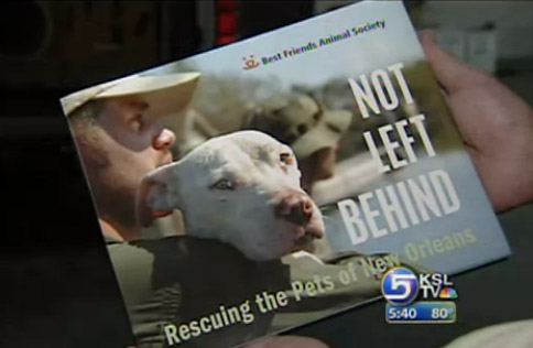 Book Documents Rescue of Animals Stranded by Katrina