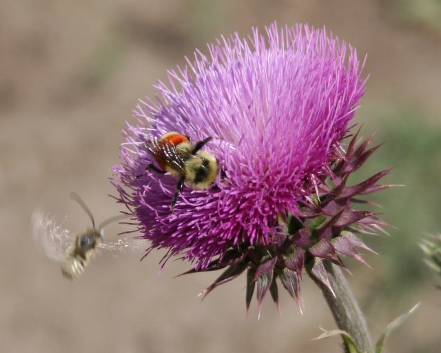 Ground vs. Air Temperature