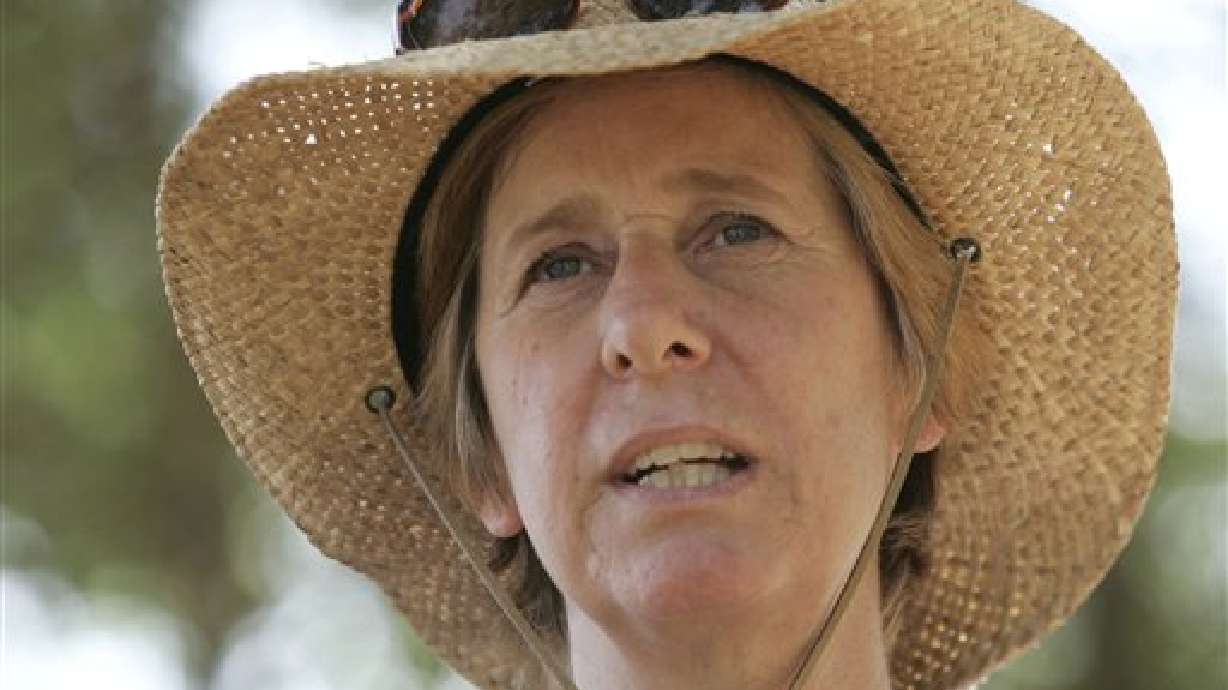 Sheehan Not Coming to Utah