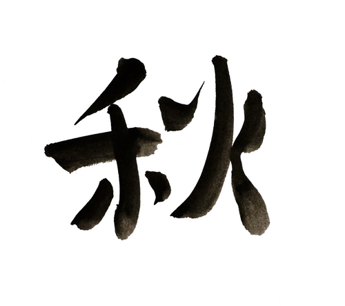 Chinese Lessons More Popular Than Expected