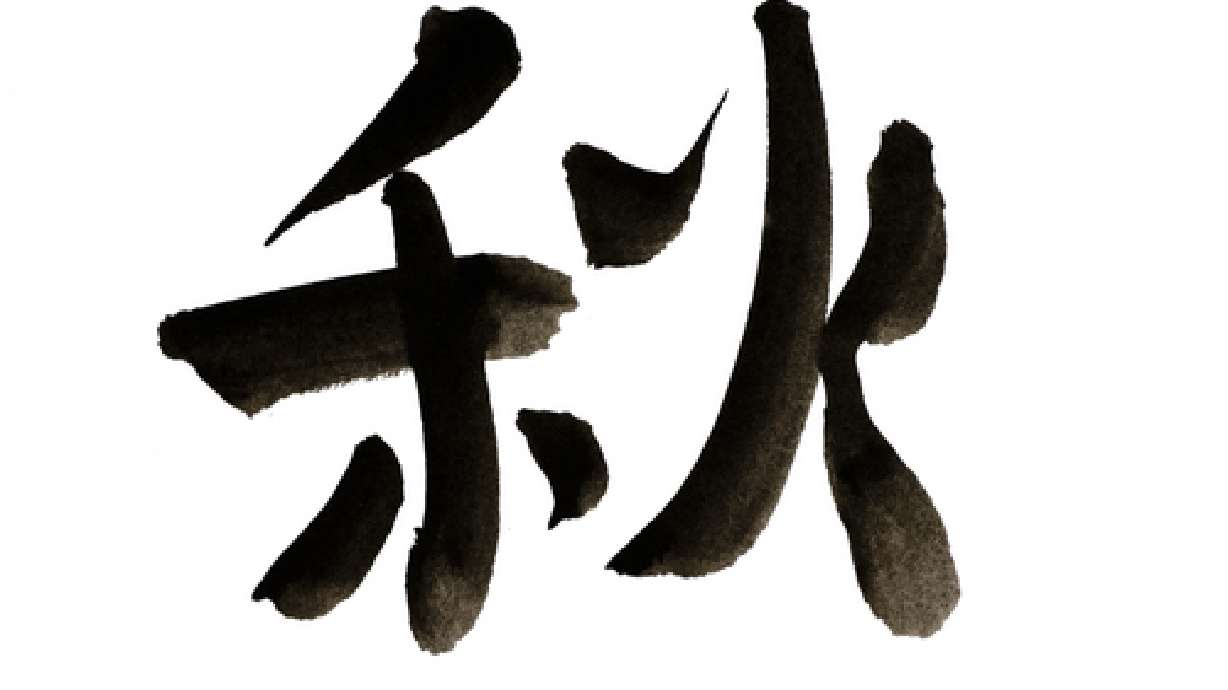 Chinese Lessons More Popular Than Expected