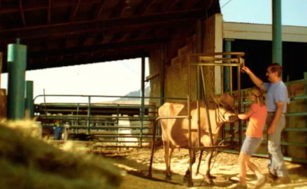 The Utah State Fair Board is replacing the 2010 commercials with a 2008 campaign featuring a young girl and a cow.