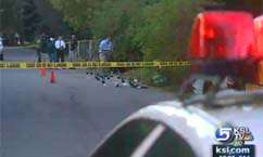 Husband Arrested for Murder in Hit-and-Run