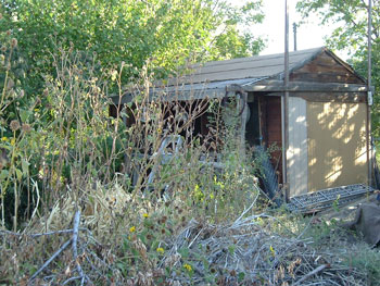 Courtesy Mary Richards, KSL Newsradio