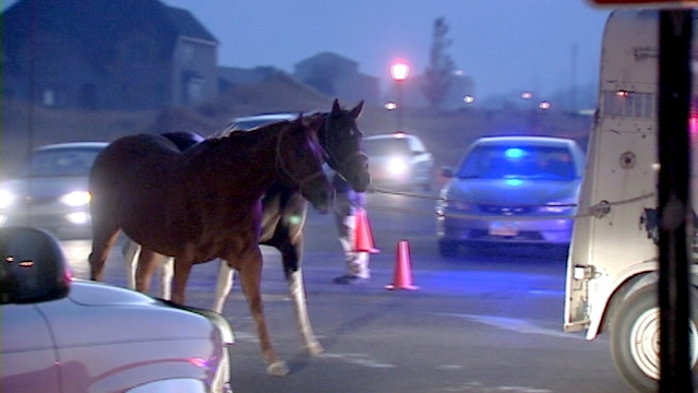 Horse owners displaced by fire spend night near animals 