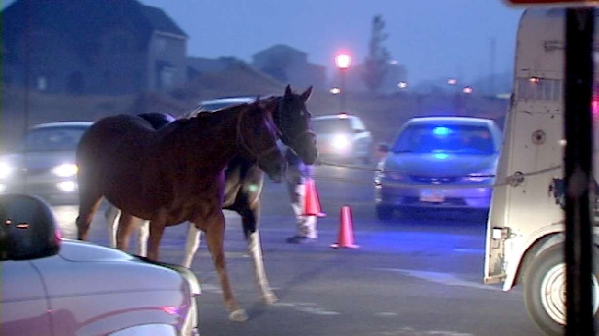 Horse owners displaced by fire spend night near animals