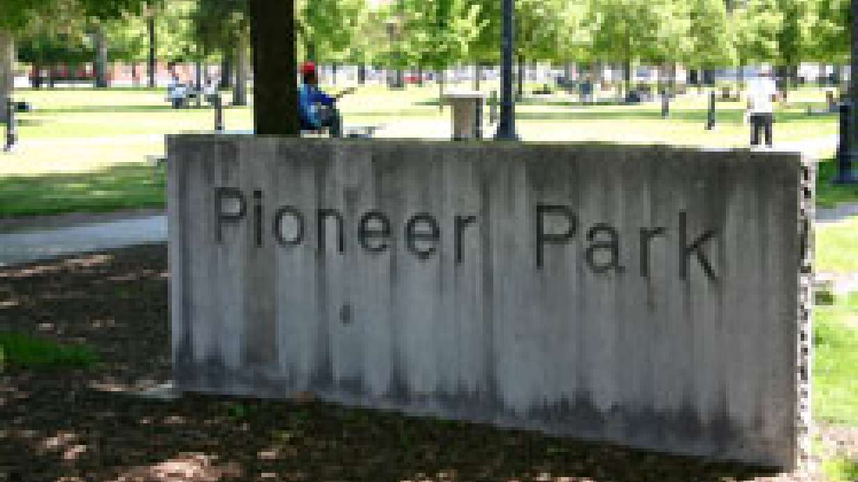 PIONEER PARK IS A DISASTER